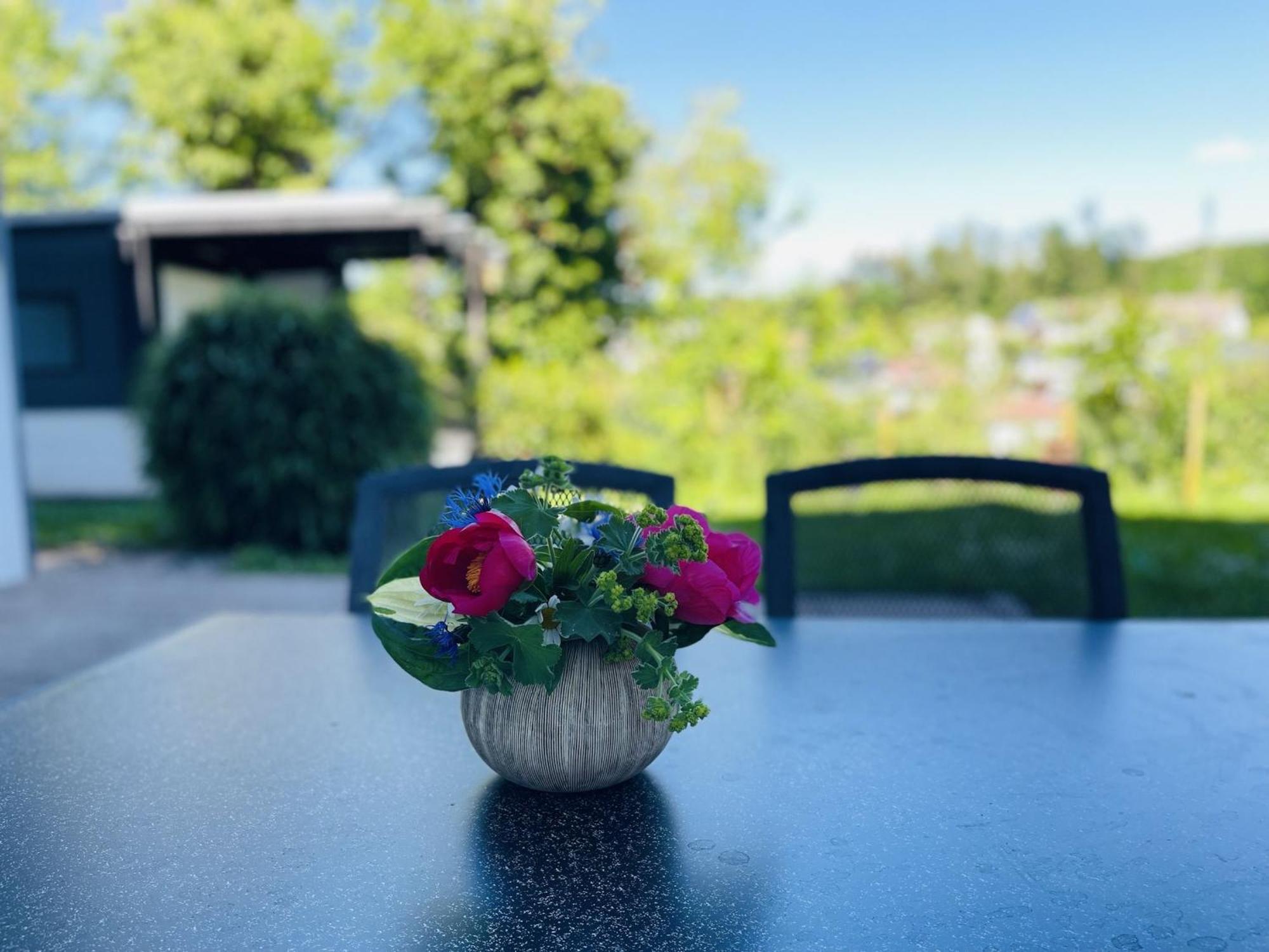 Blick Ins Gruene Apartment