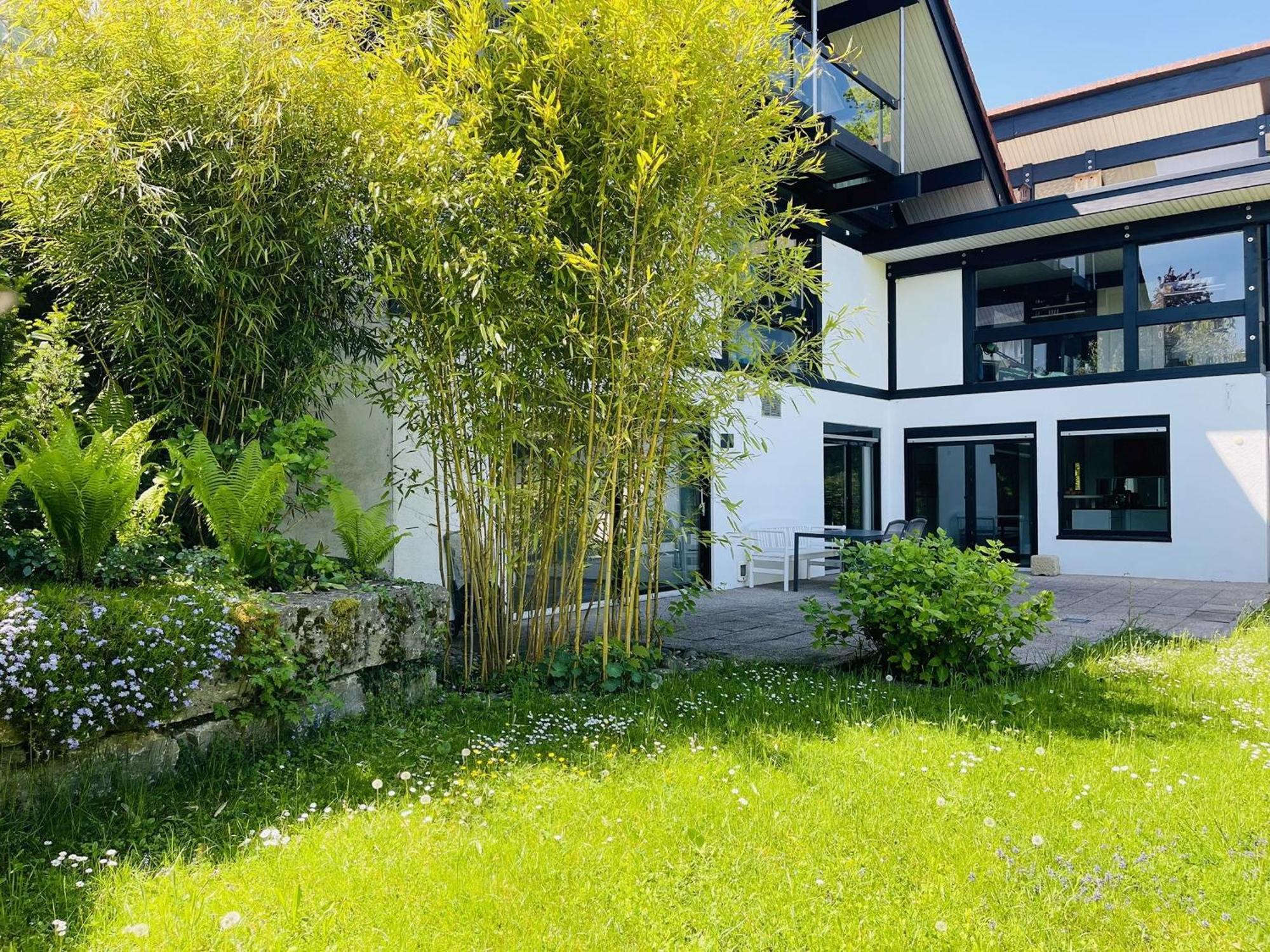 Blick Ins Gruene Apartment *